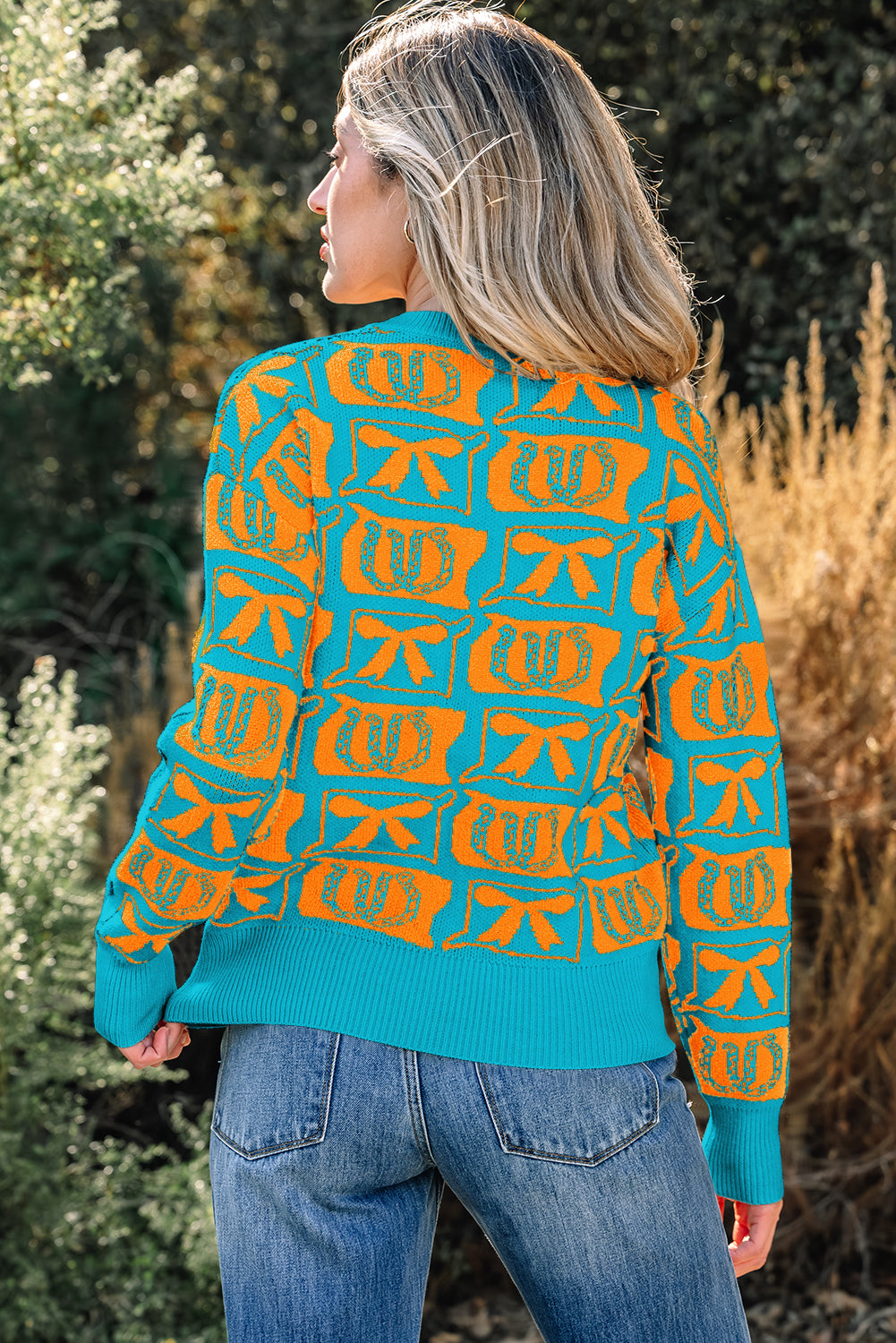 Light Blue Bows & Horseshoes Pattern Western Fashion Print Sweater